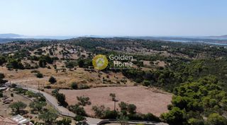 Οικόπεδο 4.494 τ.μ. προς πώληση, Βερβερούδα-thumb-1