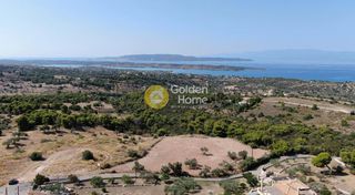 Οικόπεδο 4.494 τ.μ. για πώληση