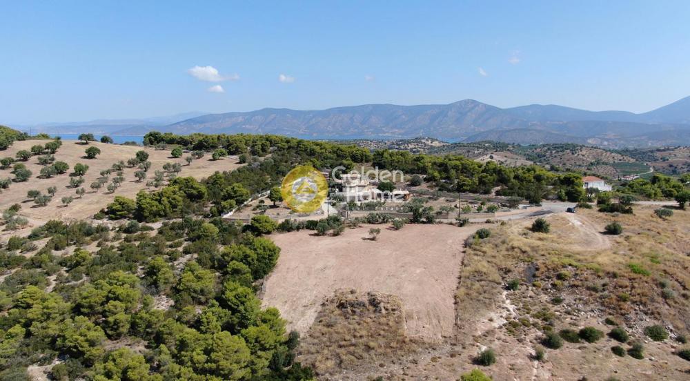 Οικόπεδο 4.494 τ.μ. προς πώληση, Βερβερούδα