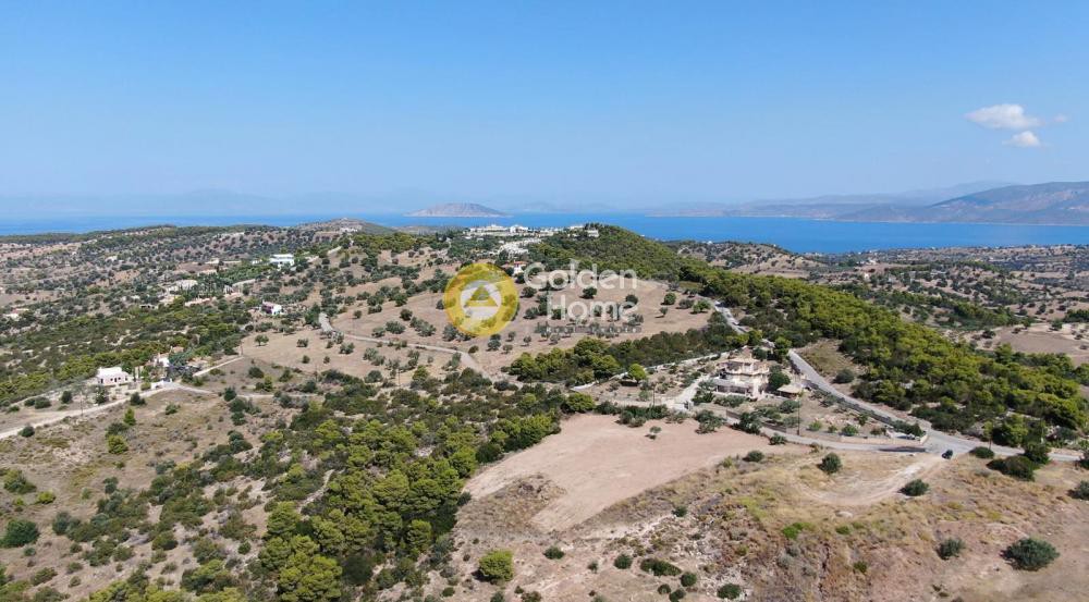 Οικόπεδο 4.494 τ.μ. προς πώληση, Βερβερούδα