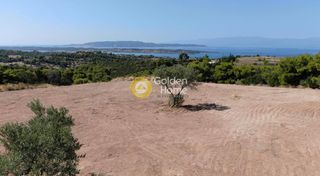 Οικόπεδο 4.494 τ.μ. προς πώληση, Βερβερούδα-thumb-6
