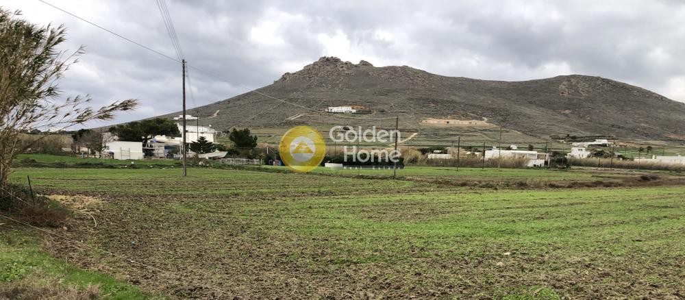 Αγροτεμάχια 4.016 τ.μ. προς πώληση, Παροικιά