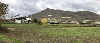 Αγροτεμάχια 4.016 τ.μ. για πώληση