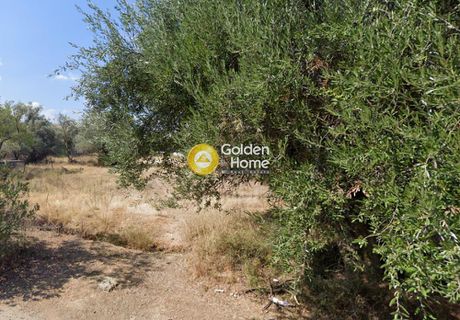 Αγροτεμάχια 730 τ.μ. για πώληση
