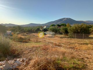 Αγροτεμάχια 1.350 τ.μ. για πώληση