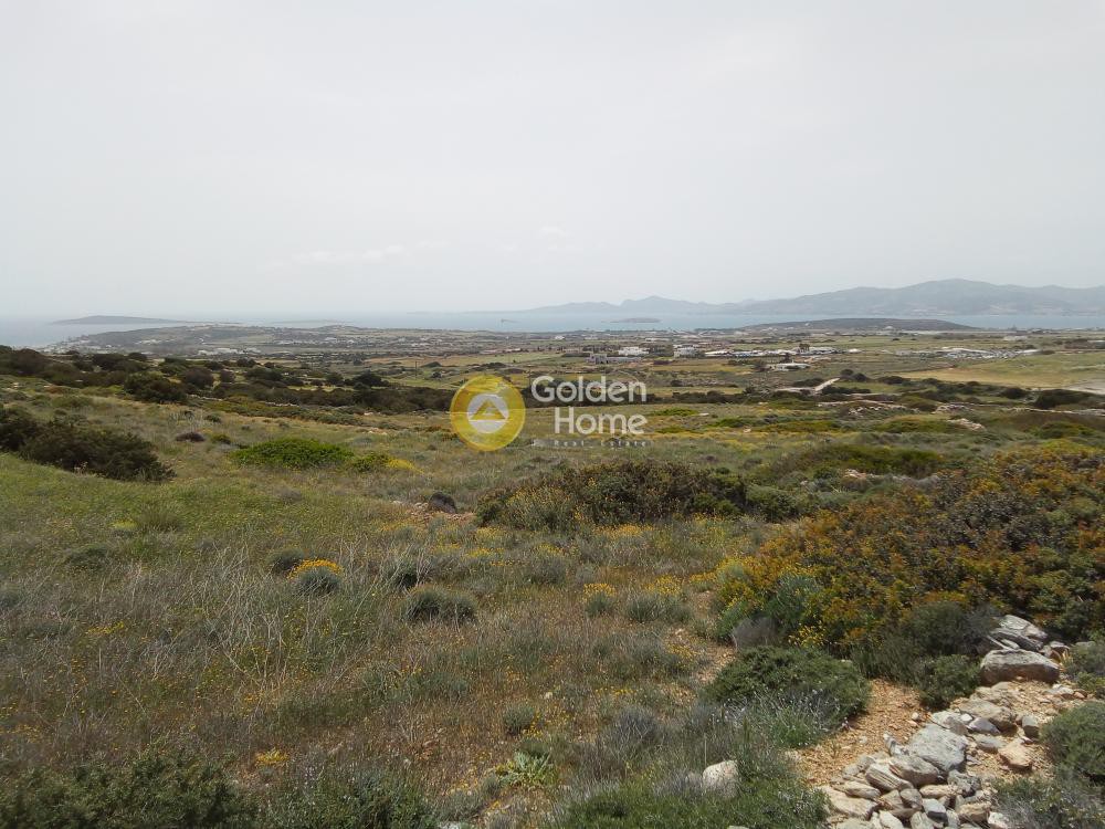 Αγροτεμάχια 8.748 τ.μ. προς πώληση, Αγκαιριά