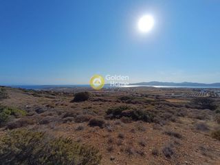 Αγροτεμάχια 8.748 τ.μ. για πώληση