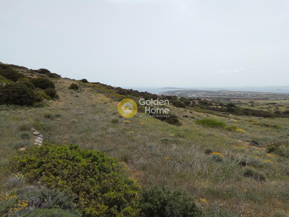 Αγροτεμάχια 8.748 τ.μ. προς πώληση, Αγκαιριά