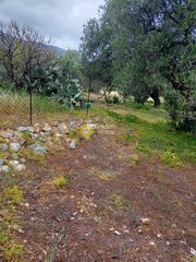 Οικόπεδο 521 τ.μ. για πώληση