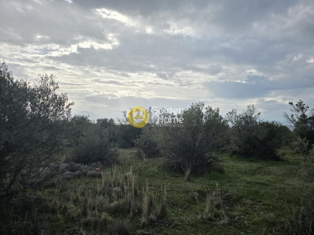 Οικόπεδο 600 τ.μ. προς πώληση, Λουτράκι Κορινθίας