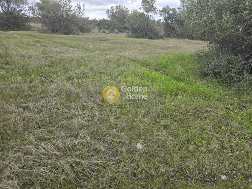 Οικόπεδο 600 τ.μ. προς πώληση, Λουτράκι Κορινθίας