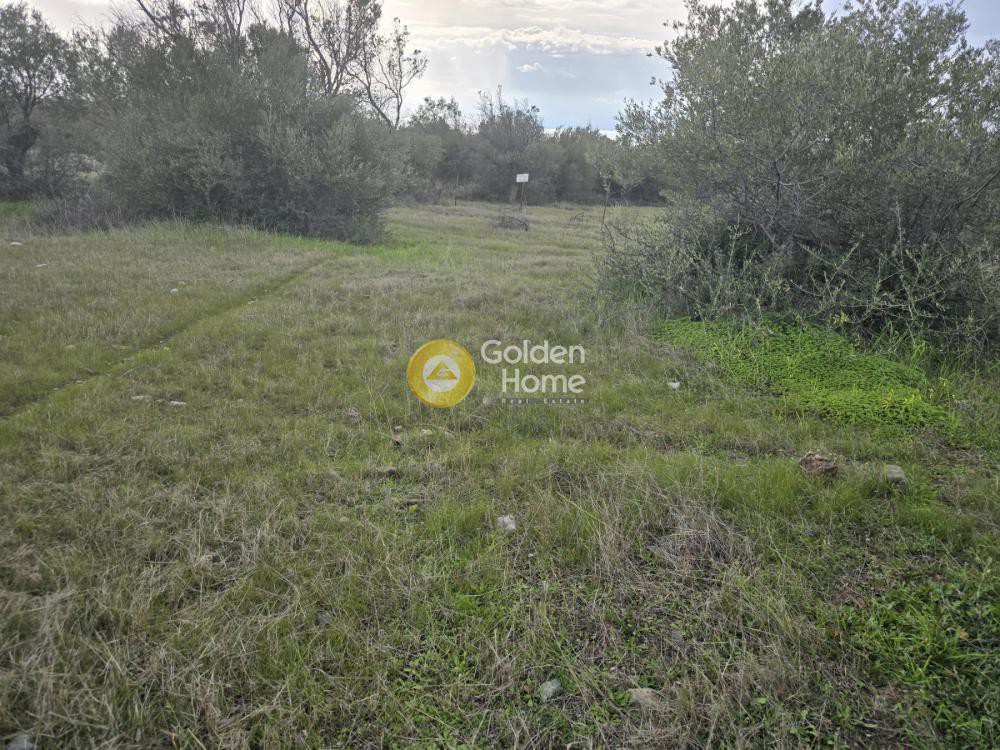 Οικόπεδο 600 τ.μ. προς πώληση, Λουτράκι Κορινθίας
