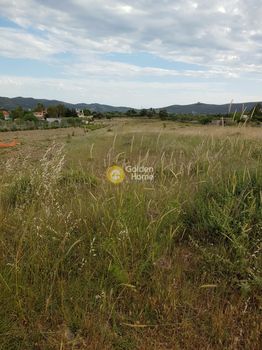 Αγροτεμάχια 2.330 τ.μ. για πώληση