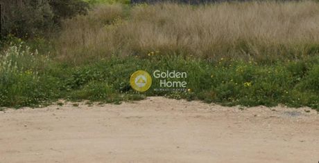 Land plot 500 sqm for sale