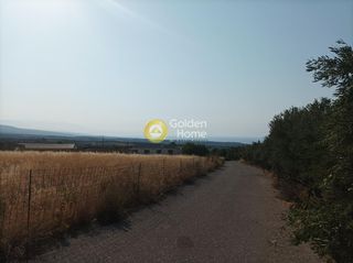 Οικόπεδο 10.311 τ.μ. για πώληση