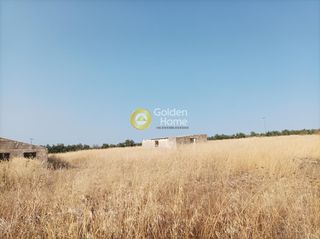 Οικόπεδο 10.311 τ.μ. για πώληση, Ν. Ρεθύμνου, Αρκάδι-thumb-6