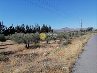 Αγροτεμάχια 6.224 τ.μ. για πώληση
