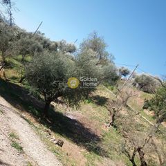 Οικόπεδο 1.200 τ.μ. για πώληση, Αχαΐα, Βραχναίικα-thumb-2