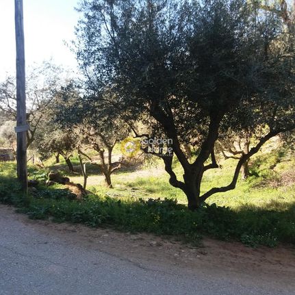 Οικόπεδο 1.200 τ.μ. για πώληση, Αχαΐα, Βραχναίικα