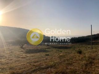 Οικόπεδο 21.328 τ.μ. για πώληση