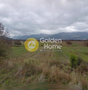 Αγροτεμάχια 3.160 τ.μ. προς πώληση