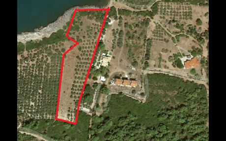 Land plot 9.000sqm for sale-Atalanti » Mikrovivos