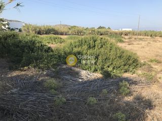 Αγροτεμάχια 6.036 τ.μ. για πώληση