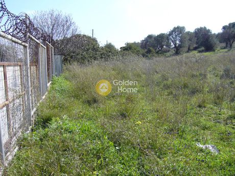 Land plot 13.571sqm for sale-Markopoulo » Agia Triada