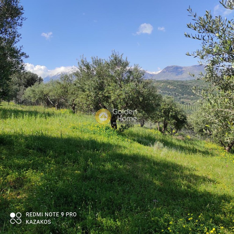 Οικόπεδο 511 τ.μ. προς πώληση, Σταυράκια
