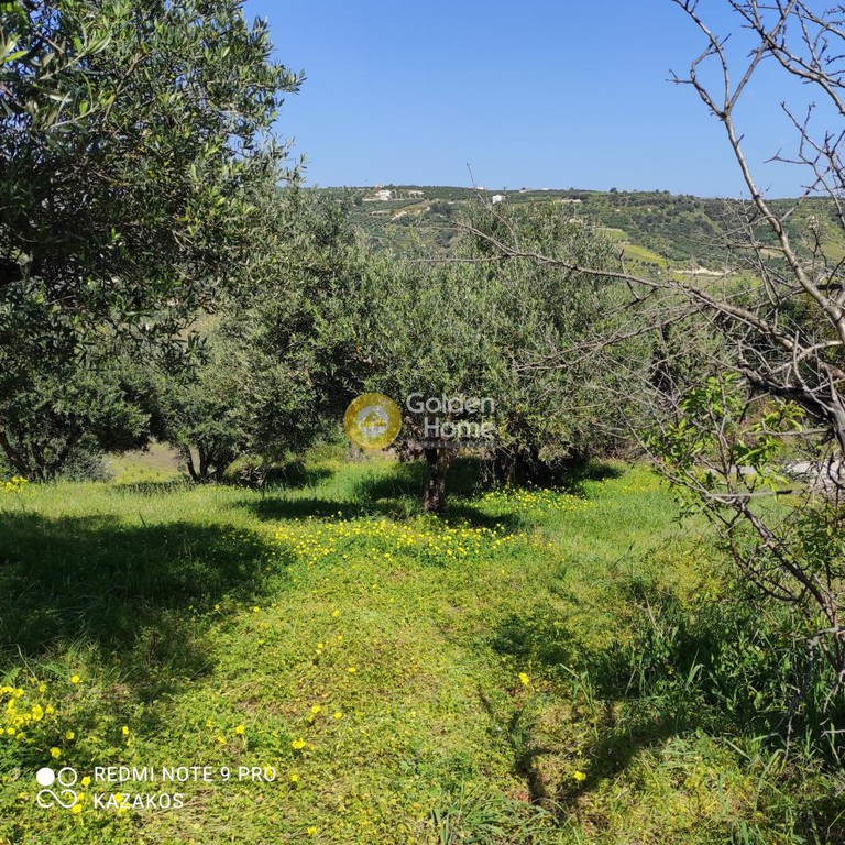 Οικόπεδο 511 τ.μ. προς πώληση, Σταυράκια