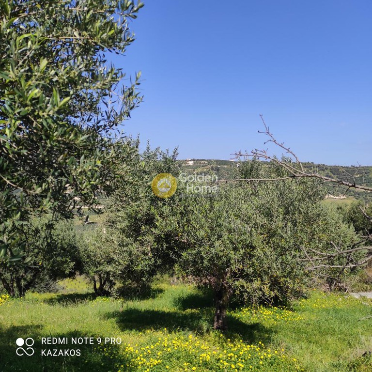 Οικόπεδο 511 τ.μ. προς πώληση, Σταυράκια