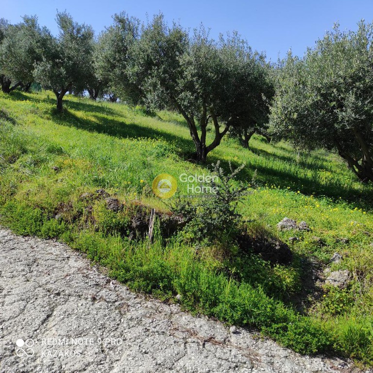 Οικόπεδο 511 τ.μ. προς πώληση, Σταυράκια