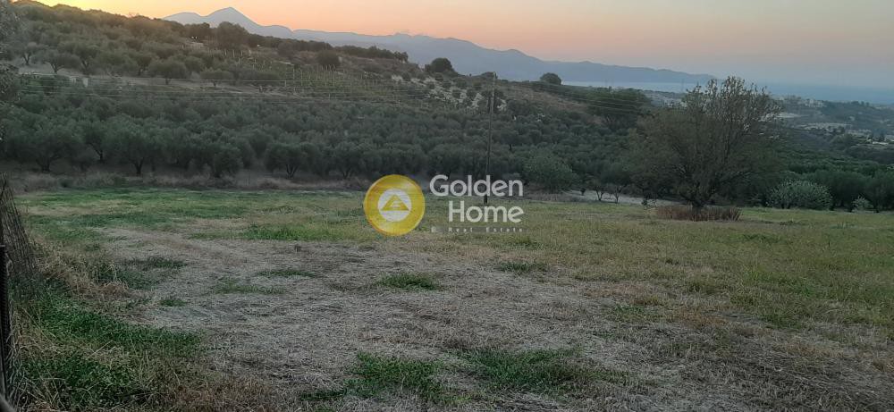 Οικόπεδο 4.522 τ.μ. προς πώληση, Γούρνες Ηρακλείου