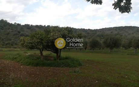 Οικόπεδο 30.000 τ.μ. για πώληση