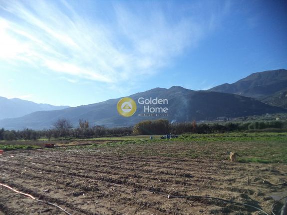 Parcel 4.493 sqm for sale, Achaia, Diakopto
