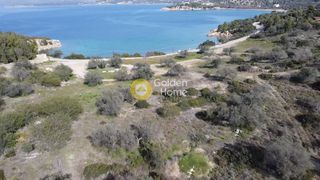 Αγροτεμάχια 69.000 τ.μ. για πώληση