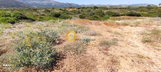 Οικόπεδο 4.175 τ.μ. για πώληση