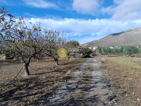 Οικόπεδο 530 τ.μ. για πώληση