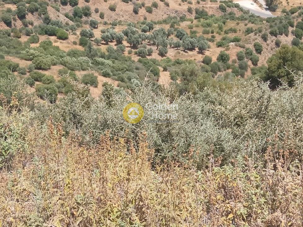 Αγροτεμάχια 25.000 τ.μ. πρός πώληση, Ν. Ρεθύμνου, Λάμπη