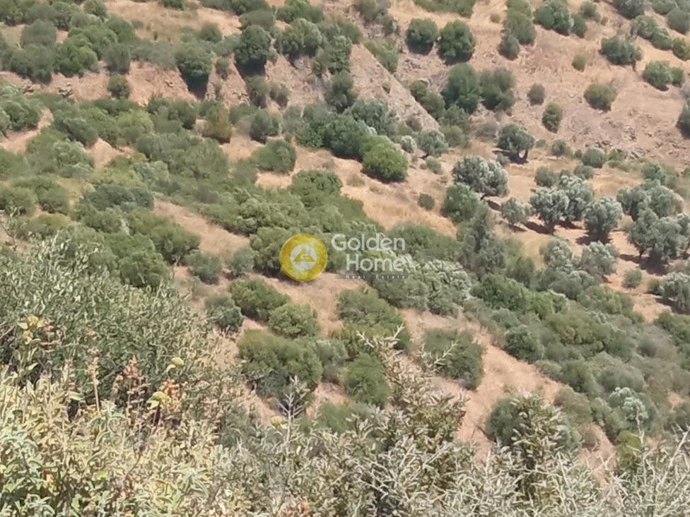 Αγροτεμάχια 25.000 τ.μ. πρός πώληση, Ν. Ρεθύμνου, Λάμπη