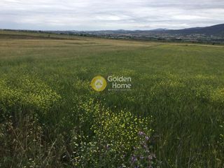 Αγροτεμάχια 4.700 τ.μ. για πώληση