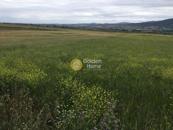 Parcel 4.700 sqm for sale, Thessaloniki - Suburbs, Thermi