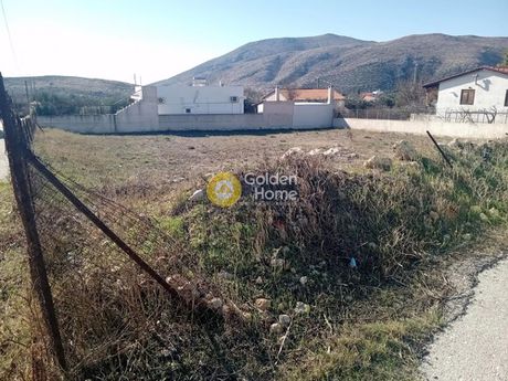 Αγροτεμάχια 1.000 τ.μ. για πώληση