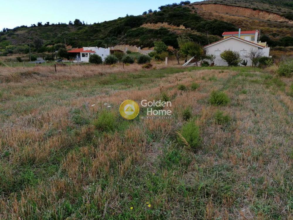 Οικόπεδο 270 τ.μ. προς πώληση, Μουρτερή