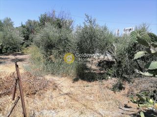 Οικόπεδο 2.850 τ.μ. για πώληση