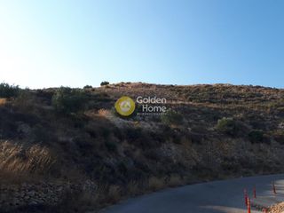 Αγροτεμάχια 8.000 τ.μ. για πώληση