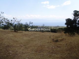Αγροτεμάχια 38.605 τ.μ. για πώληση, Μεσσηνία, Πεταλίδι-thumb-3