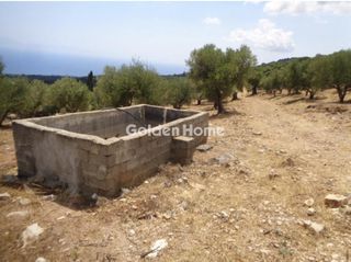 Αγροτεμάχια 38.605 τ.μ. για πώληση, Μεσσηνία, Πεταλίδι-thumb-5