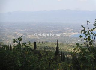 Αγροτεμάχια 38.605 τ.μ. για πώληση, Μεσσηνία, Πεταλίδι-thumb-1