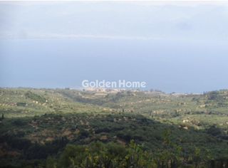 Αγροτεμάχια 38.605 τ.μ. για πώληση